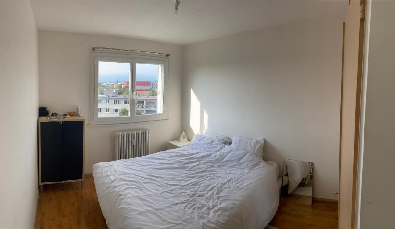 Appartement Avec Belle Vue Et Place De Parking Annemasse Esterno foto